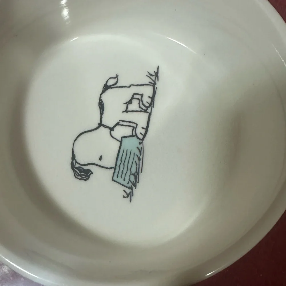 Peanuts Snoopy Pet Bowl collection